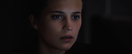   (2016)